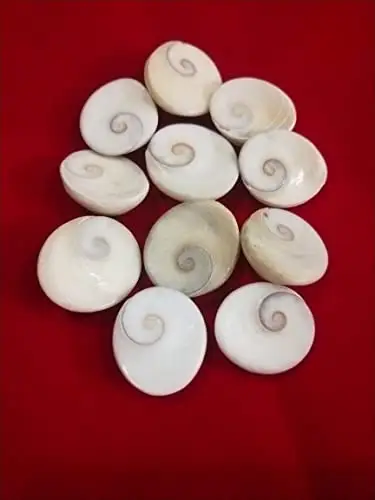 "Gomti Chakra" Set Of 11 pieces "Energized" view 3