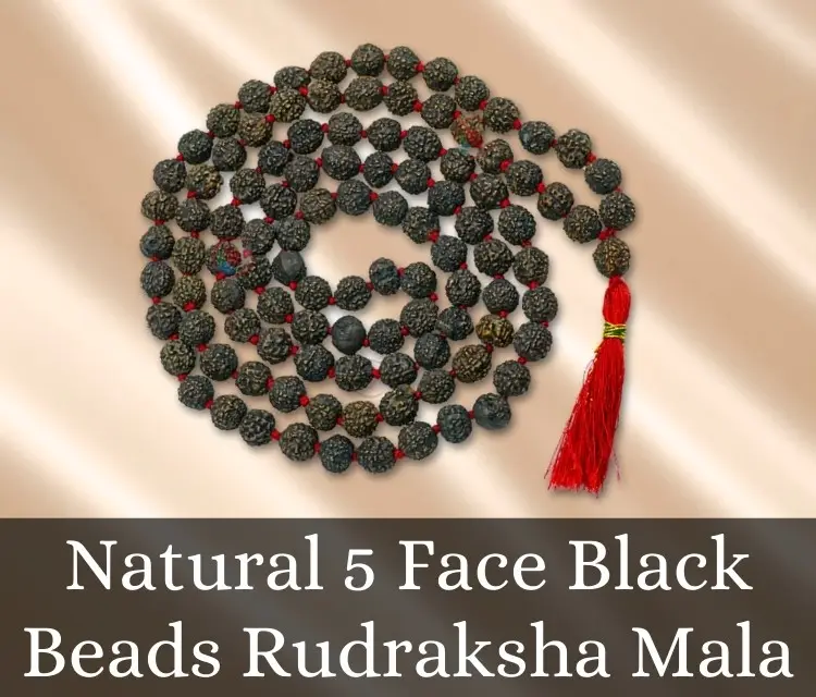 Rudraksha Mala 5 Mukhi Black 108+1 Beads view 2
