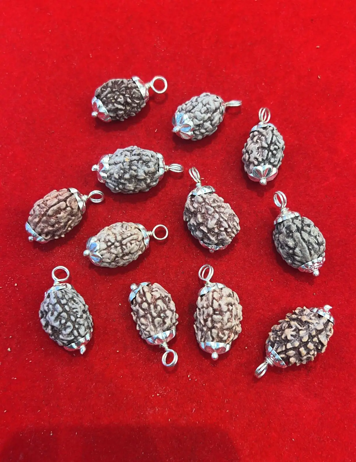 3 Mukhi Rudraksha Pendant A+++ view 3
