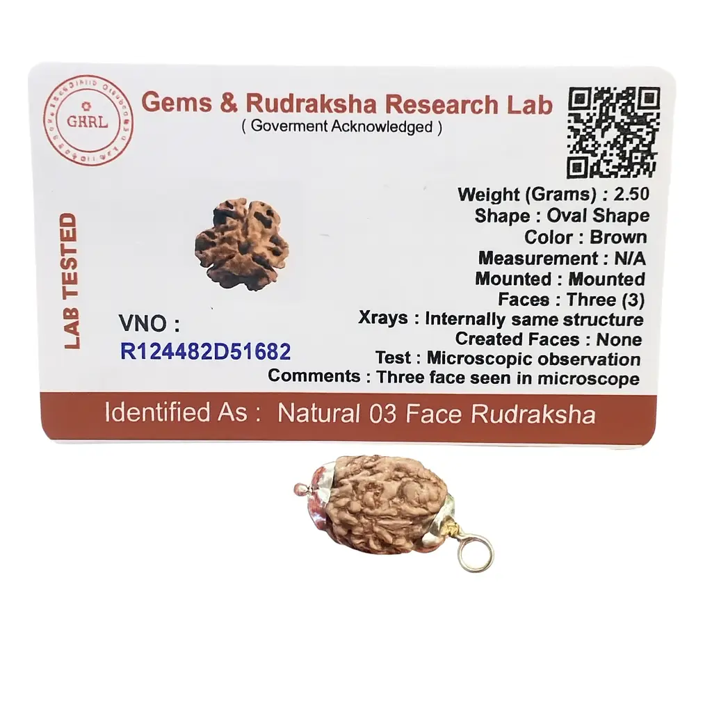 3 Mukhi Rudraksha Pendant A+++ view 4