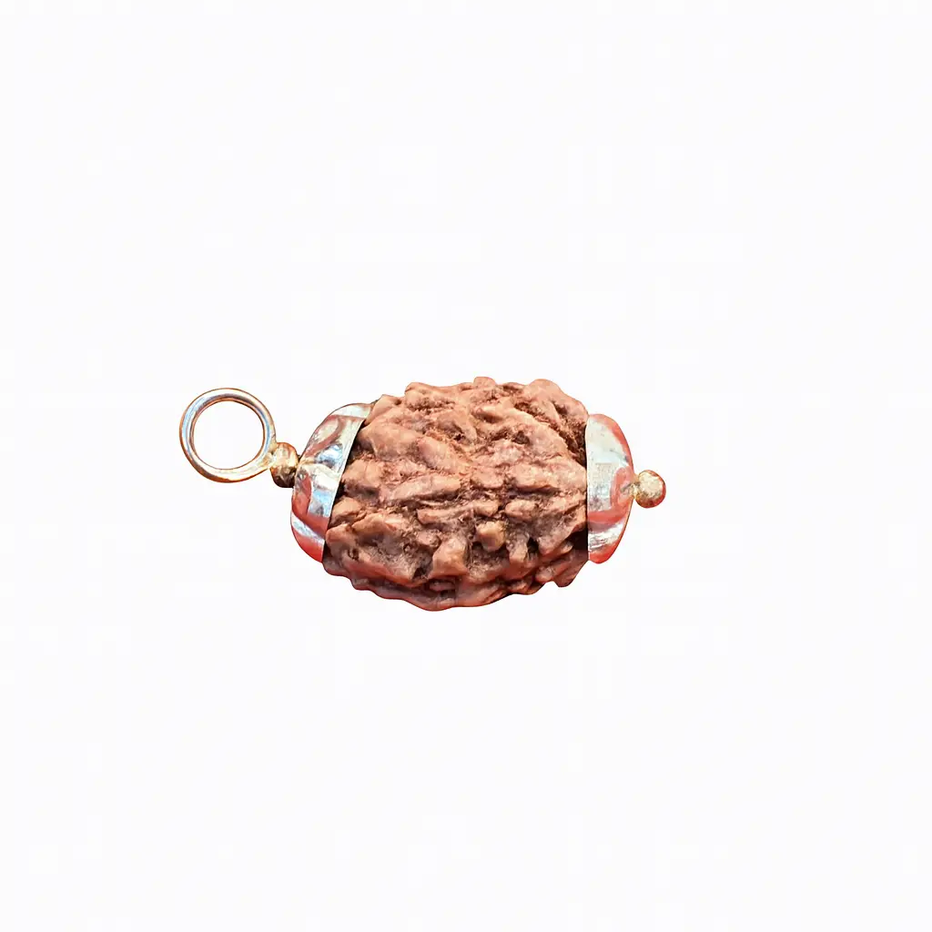 3 Mukhi Rudraksha Pendant A+++ view 5