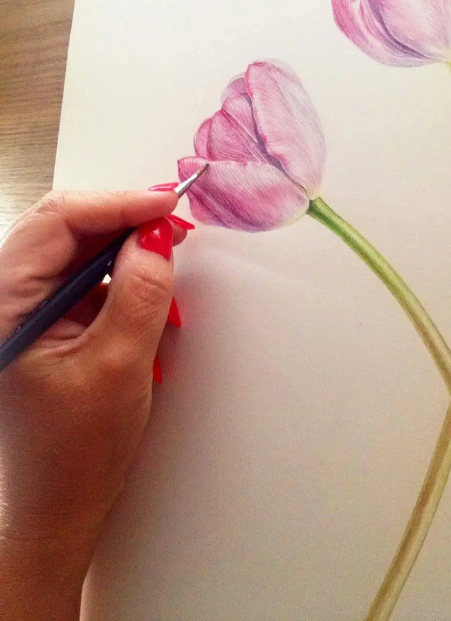 BRUSTRO Artists 25% Cotton Watercolour Paper| 300 GSM,Size A3, Cold Pressed | Pack of 12 Sheets| Ideal for Artist, Professional Drawing, Painting Dry & Wet, Fine Arts Students view 4