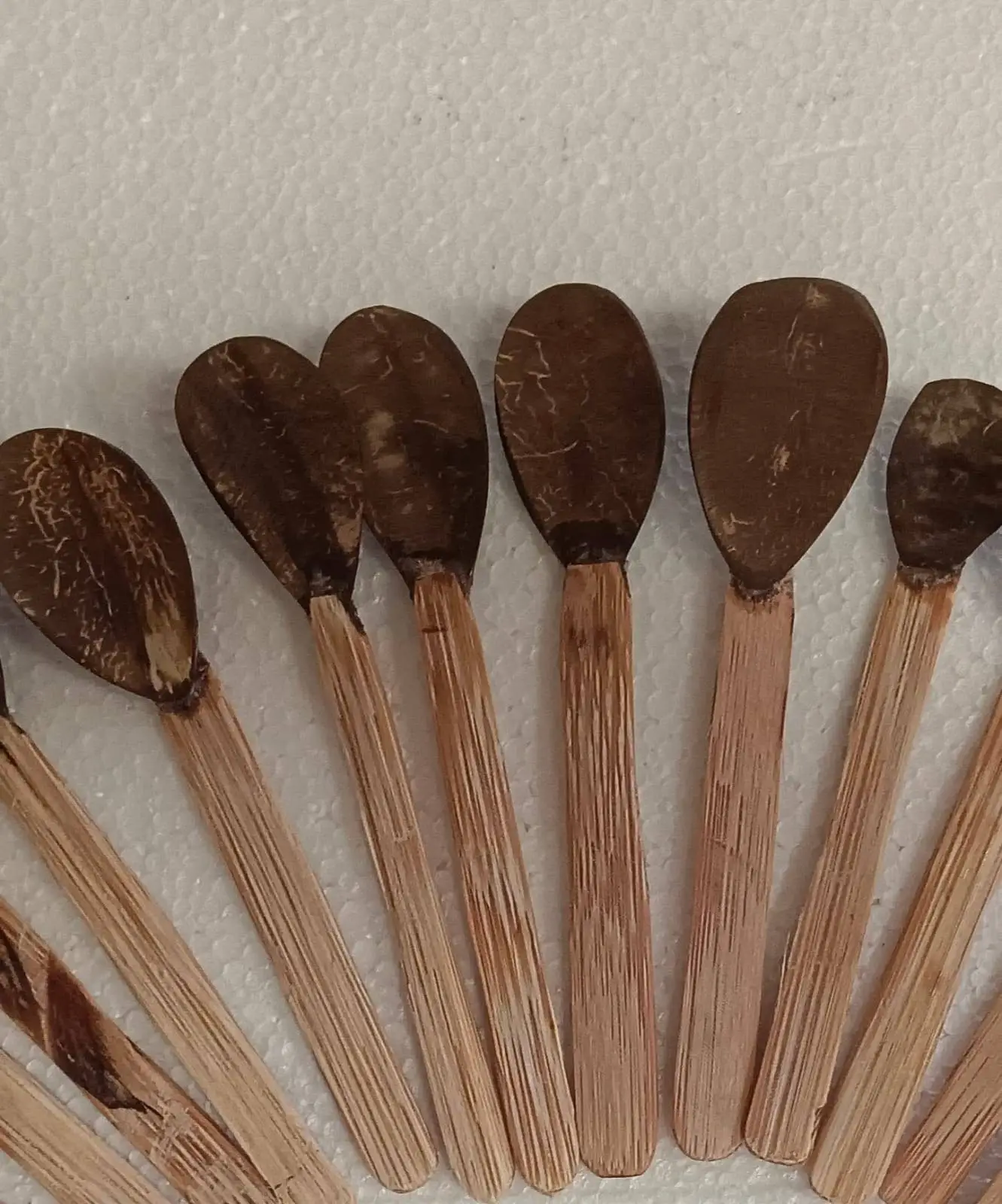 Coconut Shell Spoons - Set of 6
