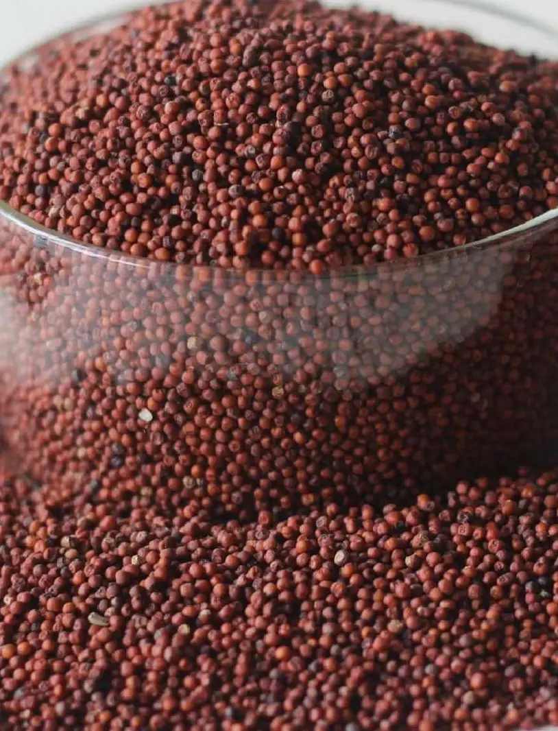 Ragi/ Finger Millet (1KG)