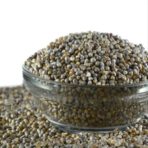 Bajra/Pearl Millet (1KG)