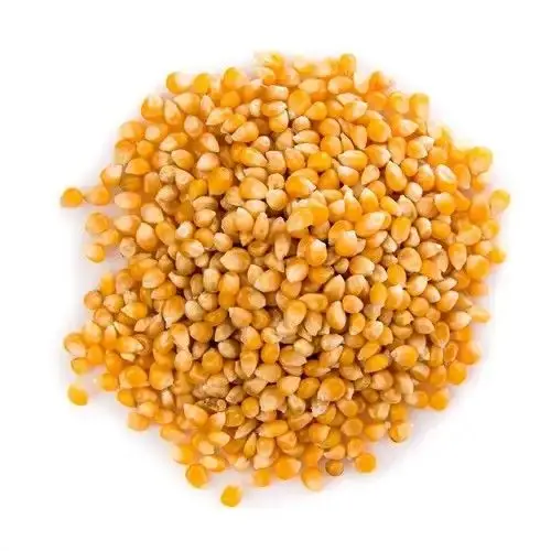 Makki / Corn (1KG)