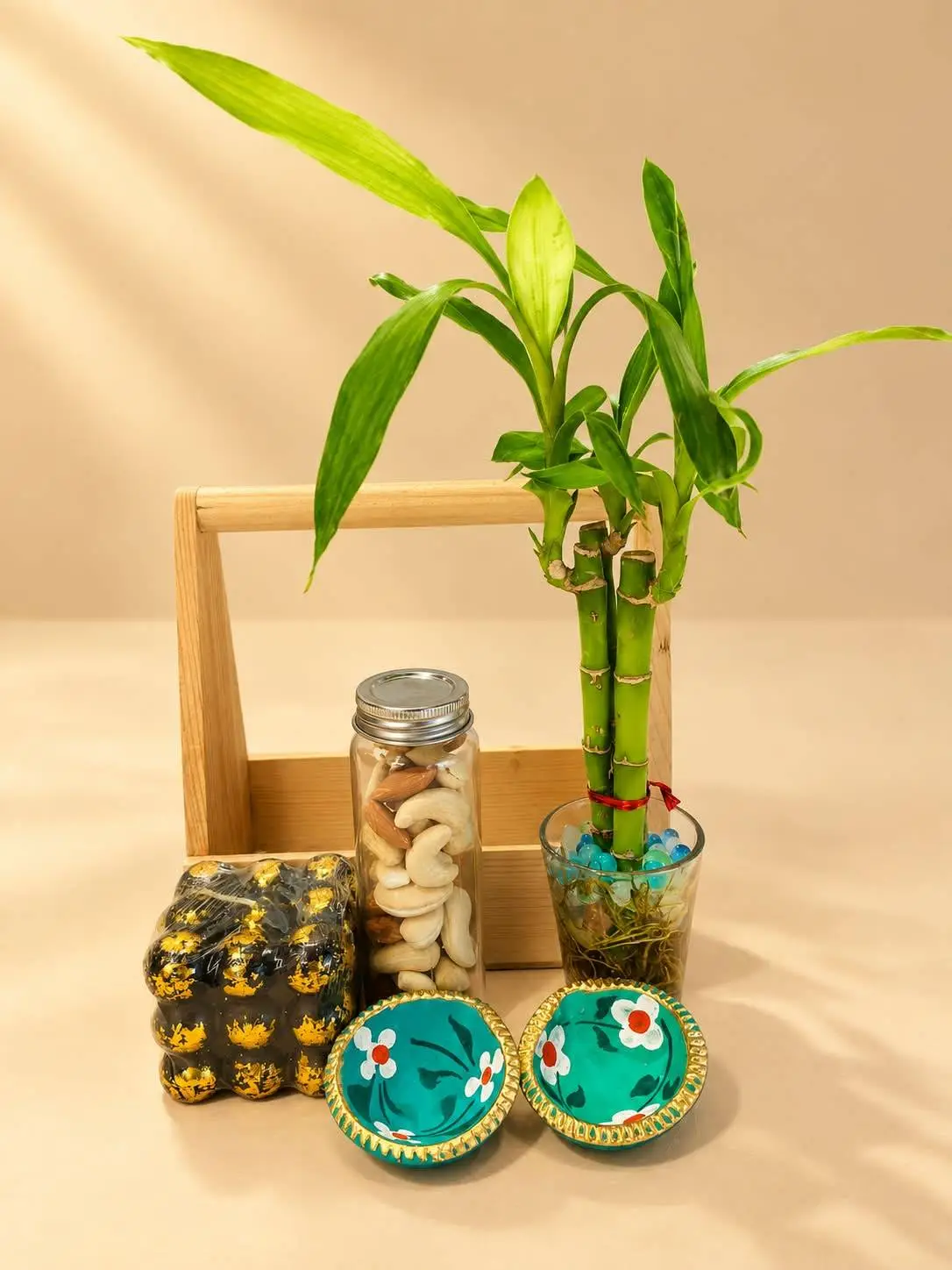 Bamboo Plant Gift Set