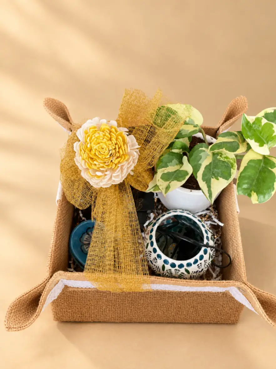 festive hampers
