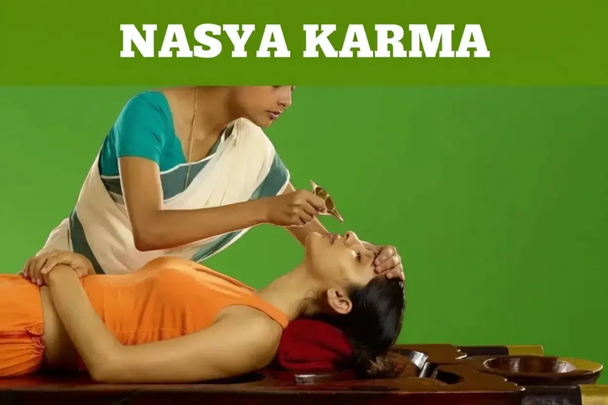 Ayurvedic Panchakarma Therapy view 4