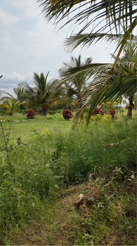 (2026OCN033) Sobagu Home Stay - Satthegala, Kollegala Road view 3