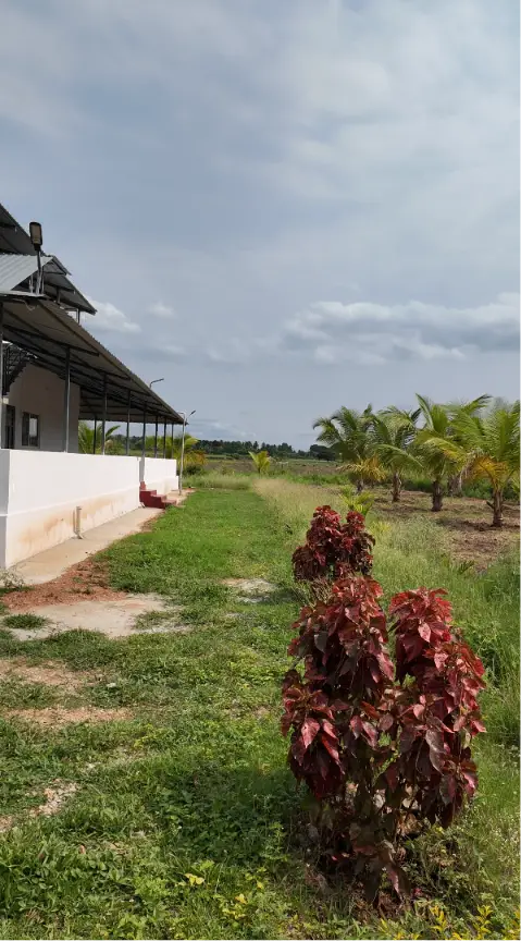 (2026OCN033) Sobagu Home Stay - Satthegala, Kollegala Road view 4
