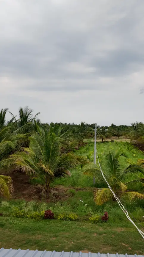(2026OCN033) Sobagu Home Stay - Satthegala, Kollegala Road view 7