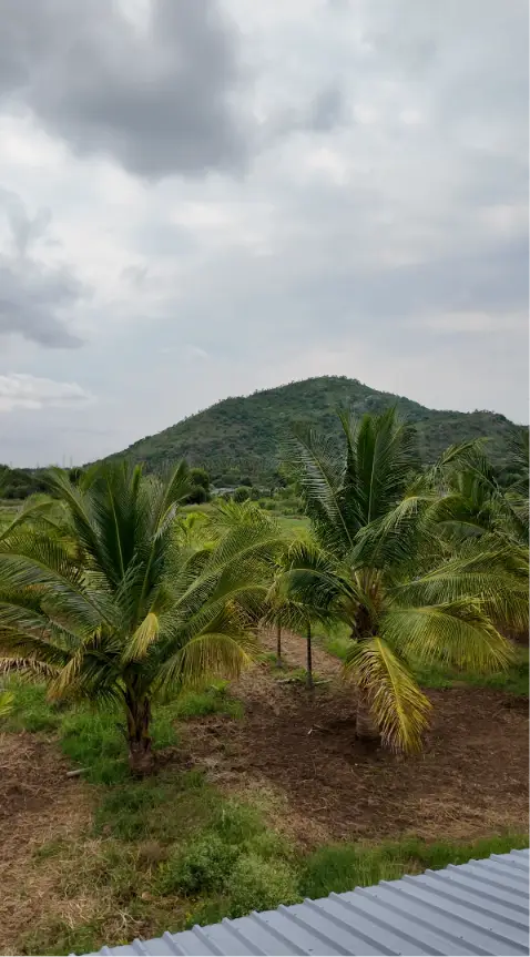 (2026OCN033) Sobagu Home Stay - Satthegala, Kollegala Road view 9