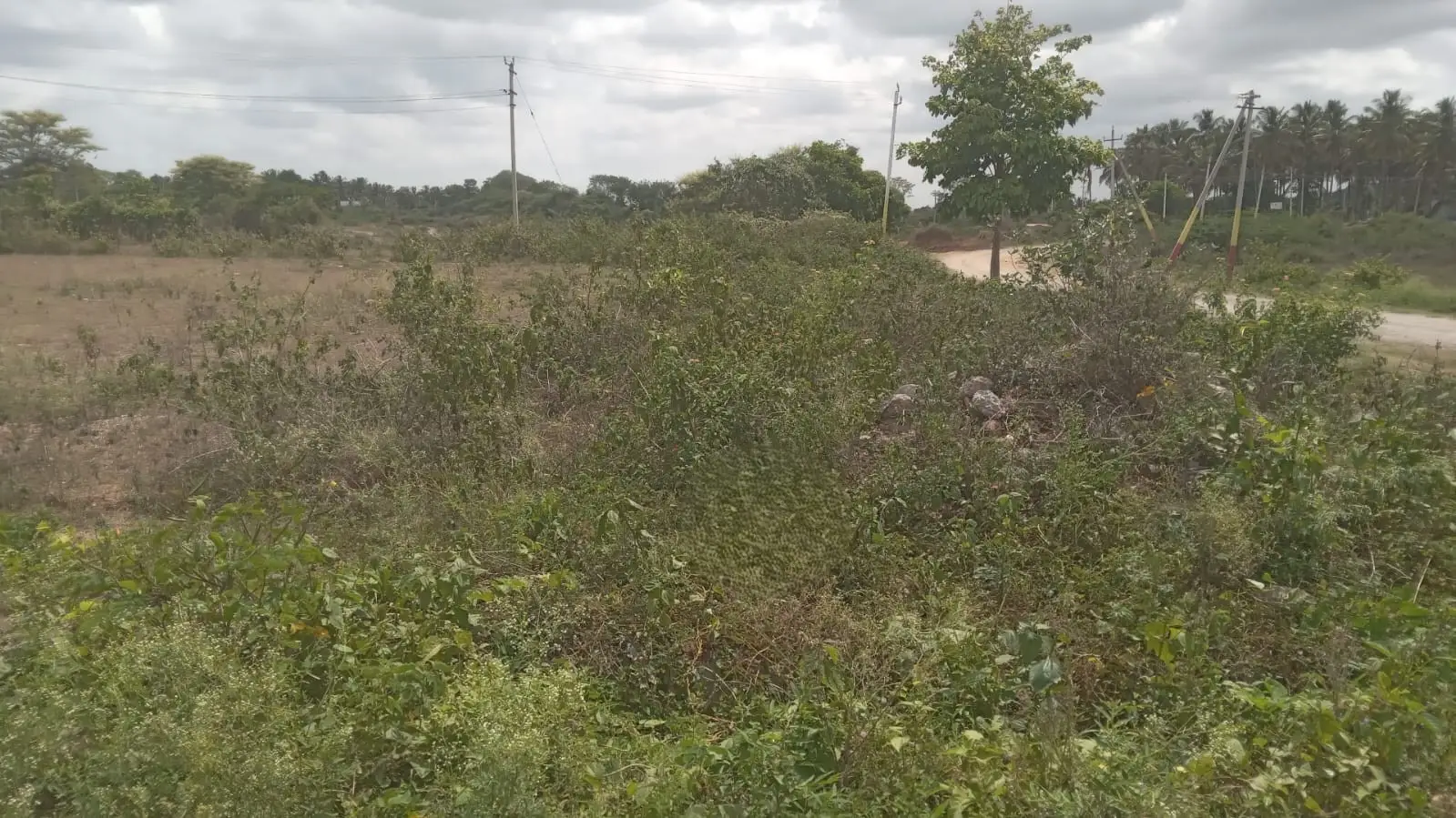 Infosity Layout, Hunsur Road, Yelawal