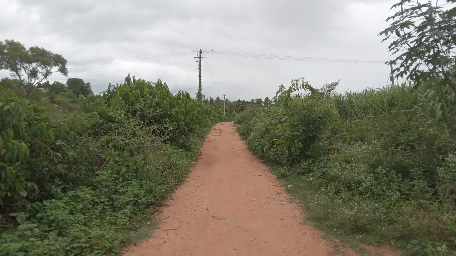 (2026OCN031) Land - Ballahalli, RT Nagar view 2