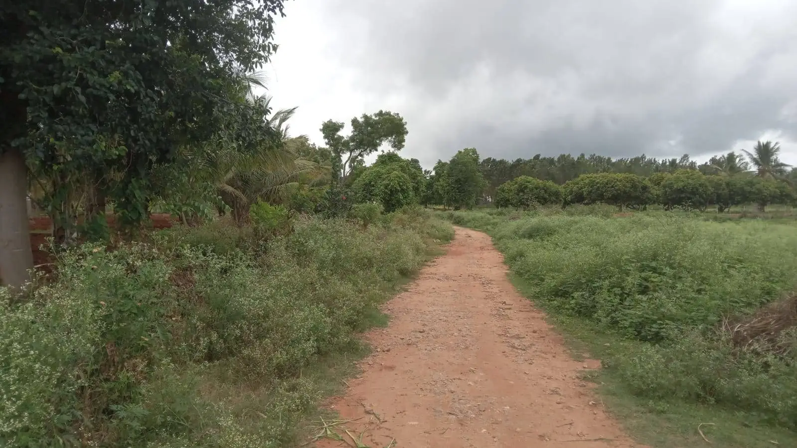 (2026OCN031) Land - Ballahalli, RT Nagar view 3