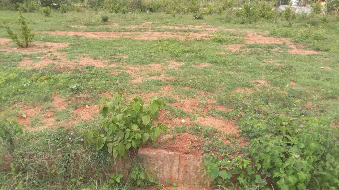 Arpana Layout, Dattagalli view 3