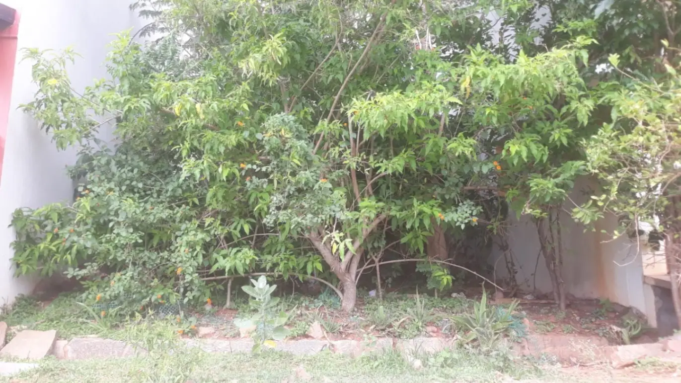 Bank Employees Layout, Bogadi Gaddige Road