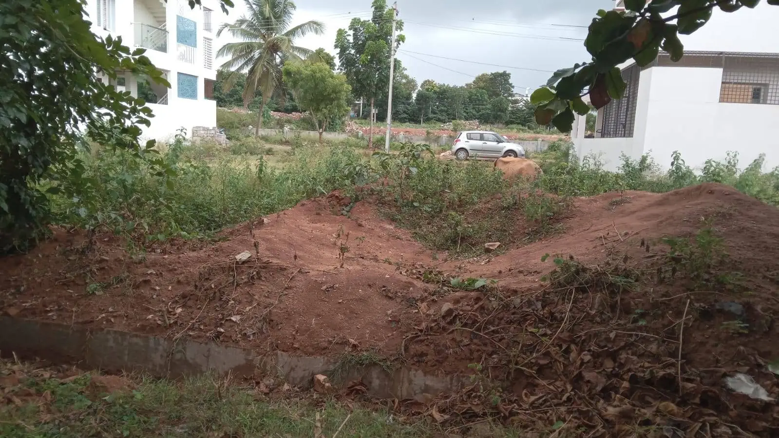 Susheela Shankar, Mysuru