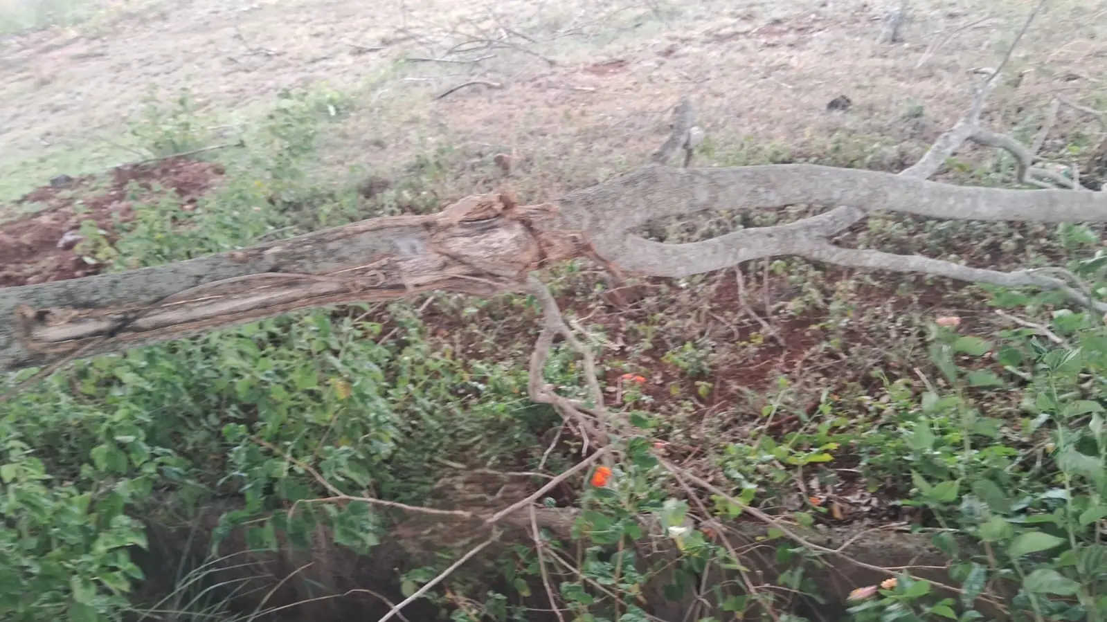 (2026OCN002) Adishwara Nagara, Mysuru view 2