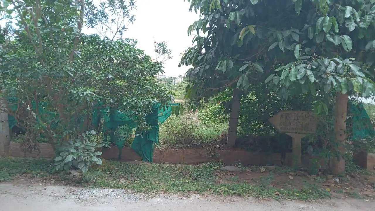 Kandaya Layout, Dattagalli