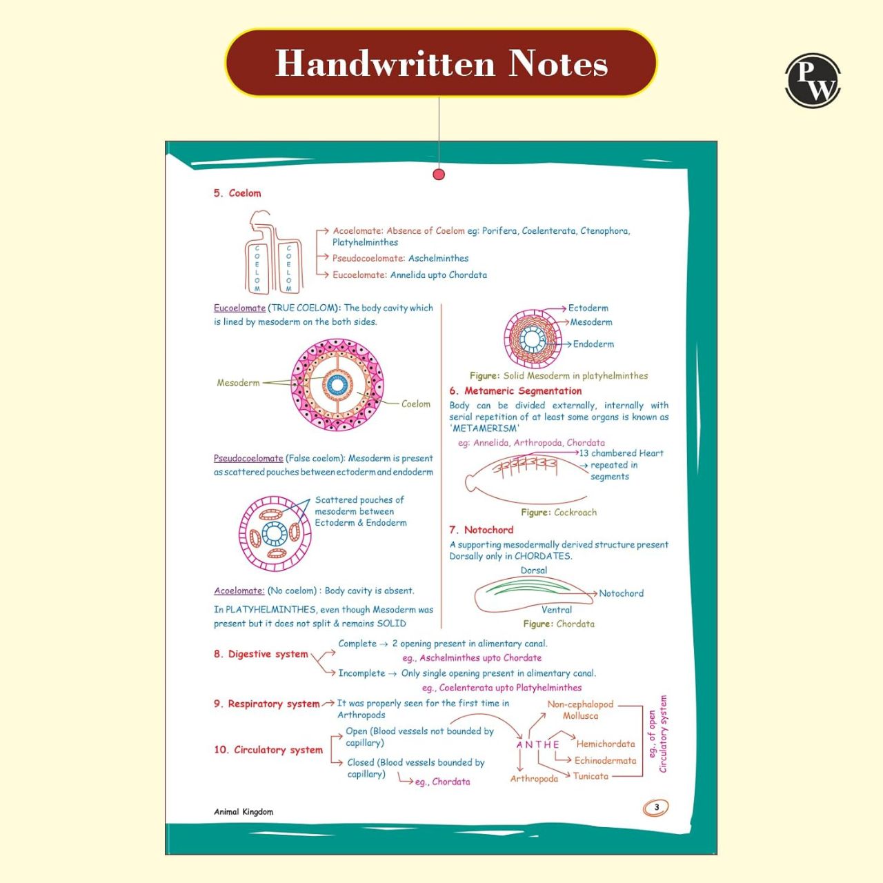 Physics Wallah PW Zoology Med Easy Handwritten Notes by Samapti Sinha Mahapatra | 9789360345068 view 3