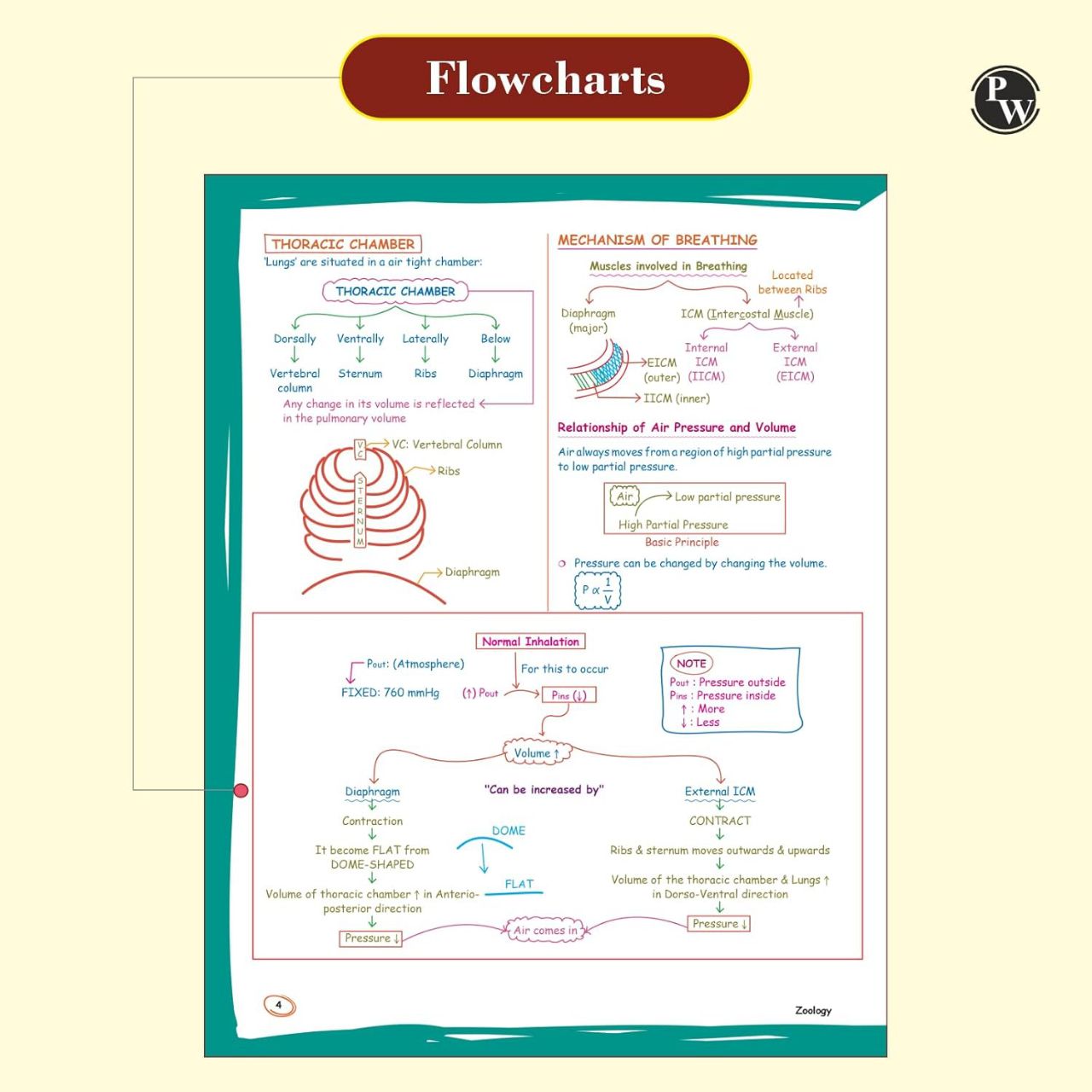 Physics Wallah PW Zoology Med Easy Handwritten Notes by Samapti Sinha Mahapatra | 9789360345068 view 4