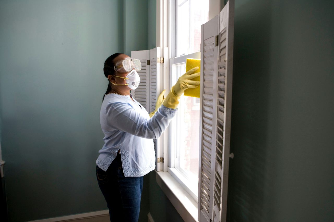 Professional Window Cleaning Service