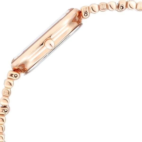 Titan Women Rose Gold Watch NT95154KM01 view 4