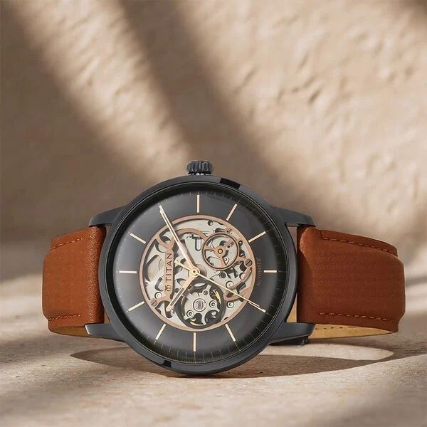 Titan Automatic Watch view 2