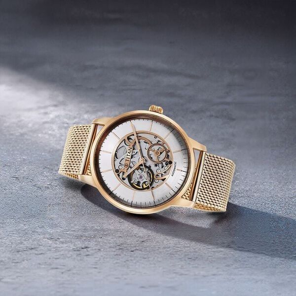 Titan Automatic Watch 90110WM01 view 2
