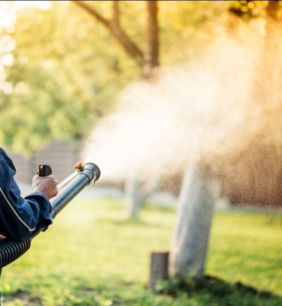 Gold Star Mosquito Pest Control Sprayer