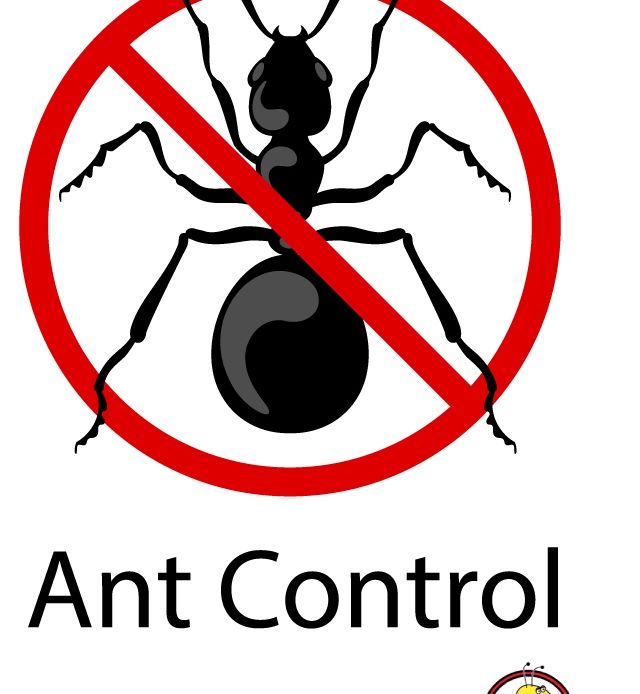 Ant Pest Control