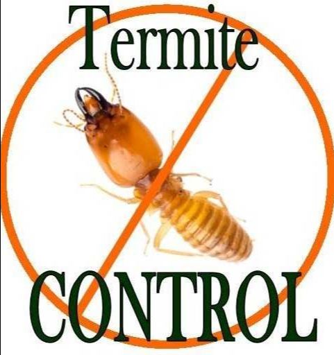 Termite Control Per Square Feet
