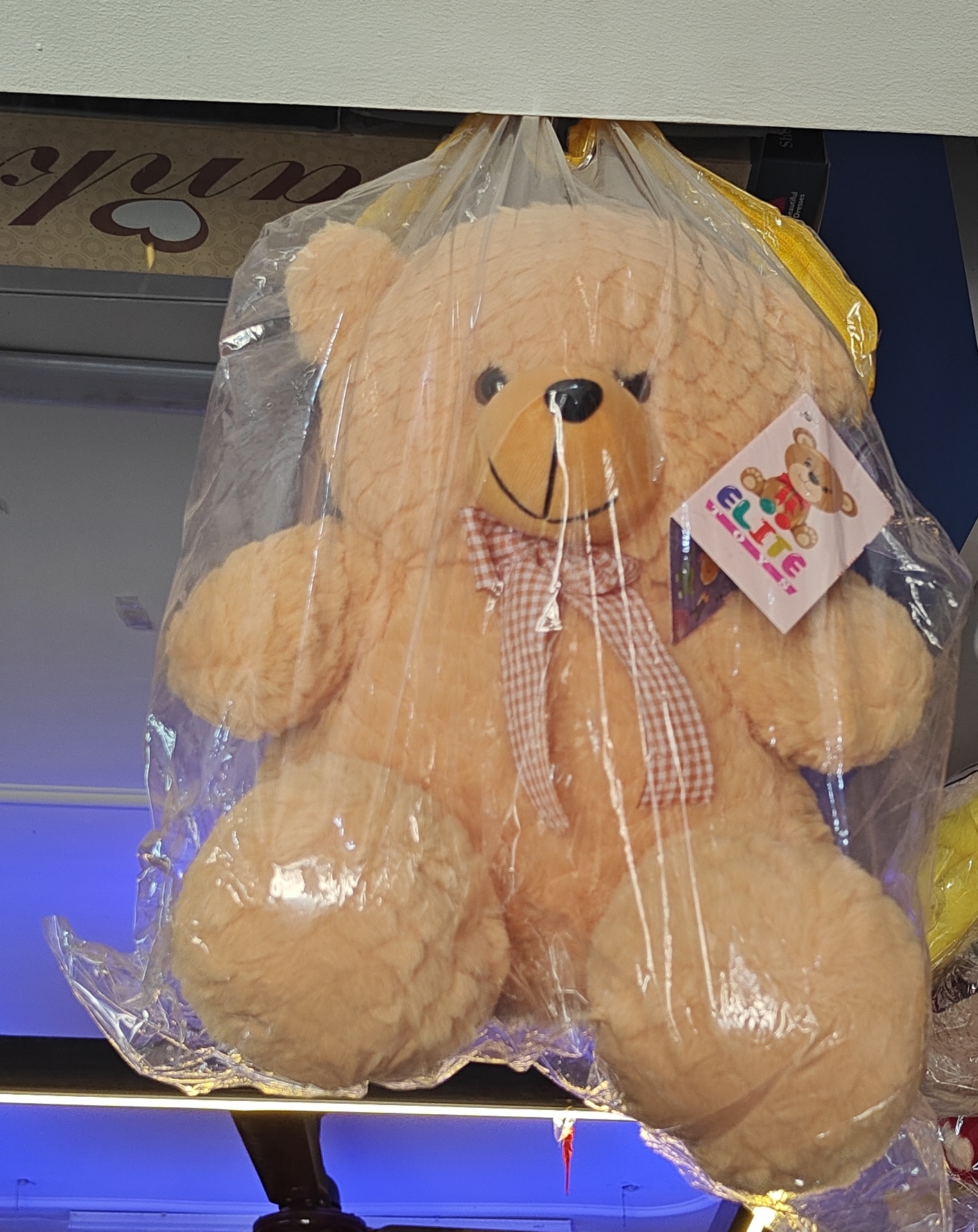 Elite Teddy Bear view 2
