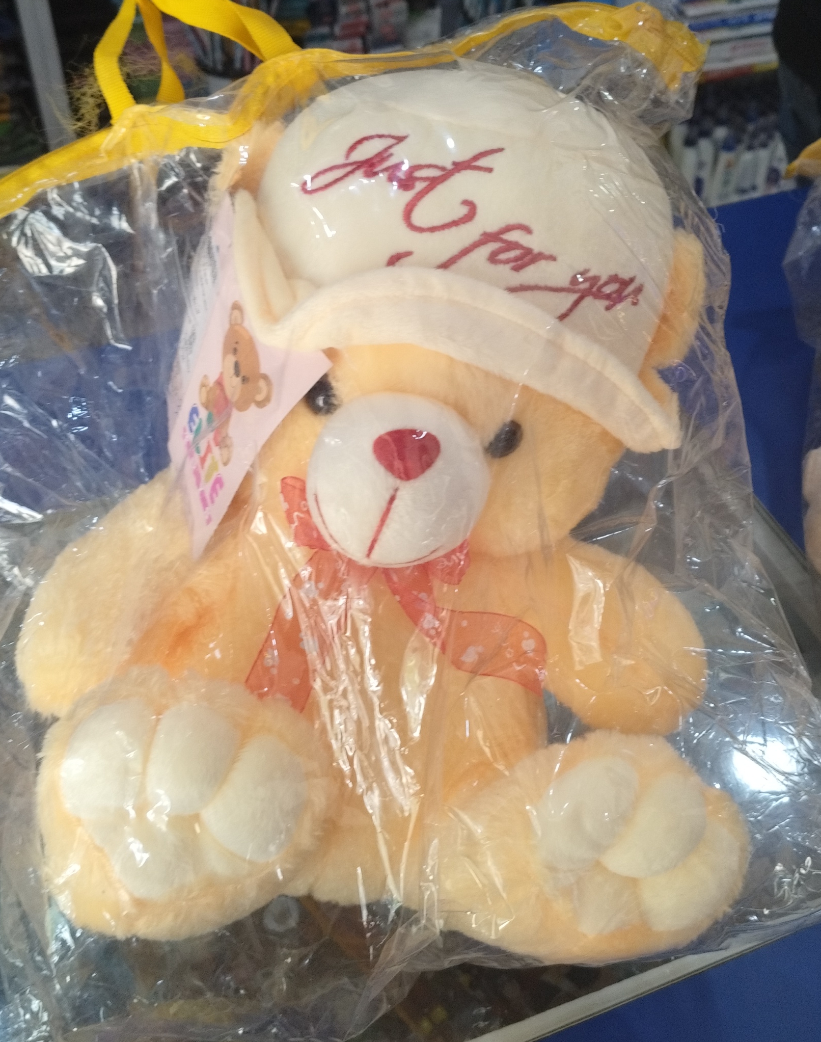 Soft Toy Bear view 2