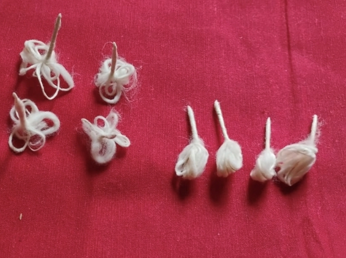 Lotus Ghee Batti view 2