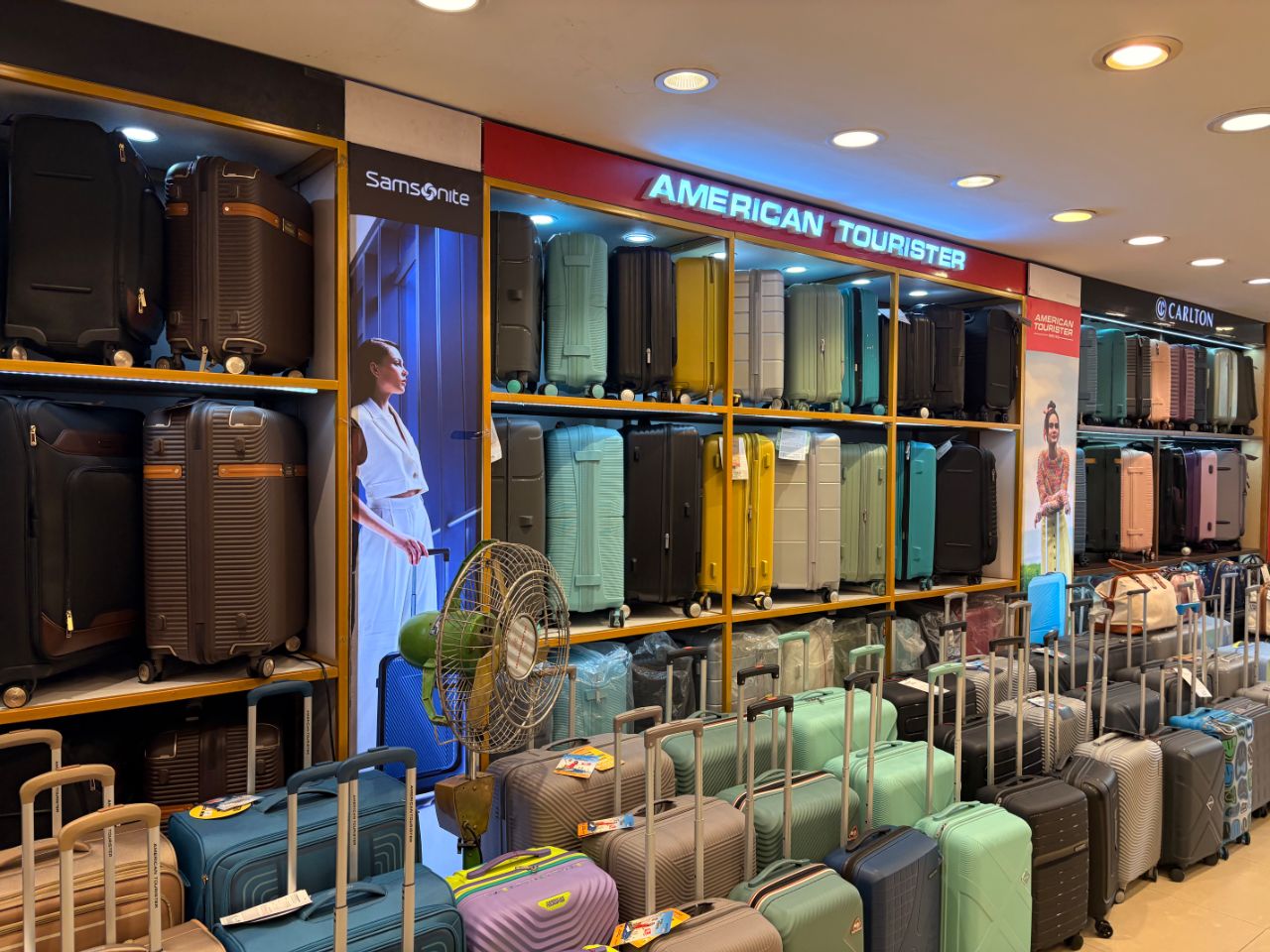 Brown shop : The luggage boutique view 5