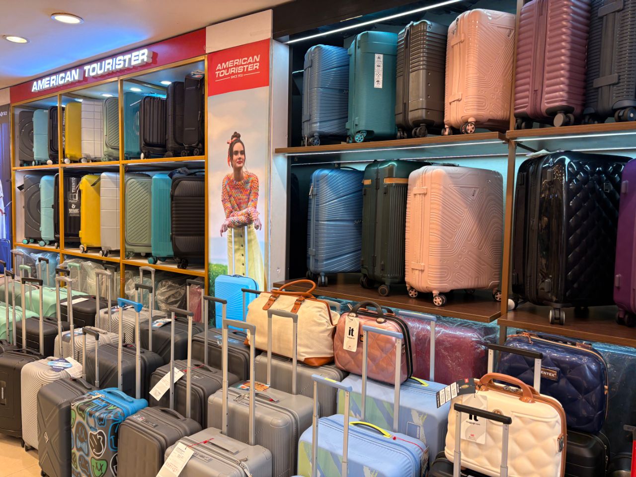 Brown shop : The luggage boutique view 6