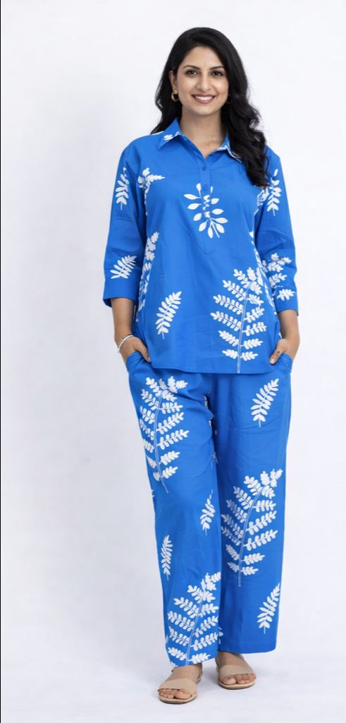 Blue Embroidery Co-ord Set Set
