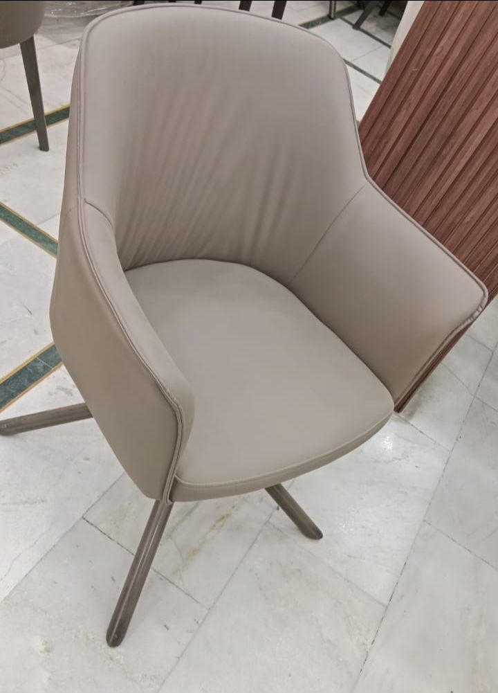 Stylish Dining Chair