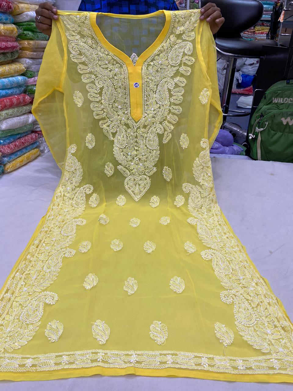 Chiffon Chikankari Kurti view 2