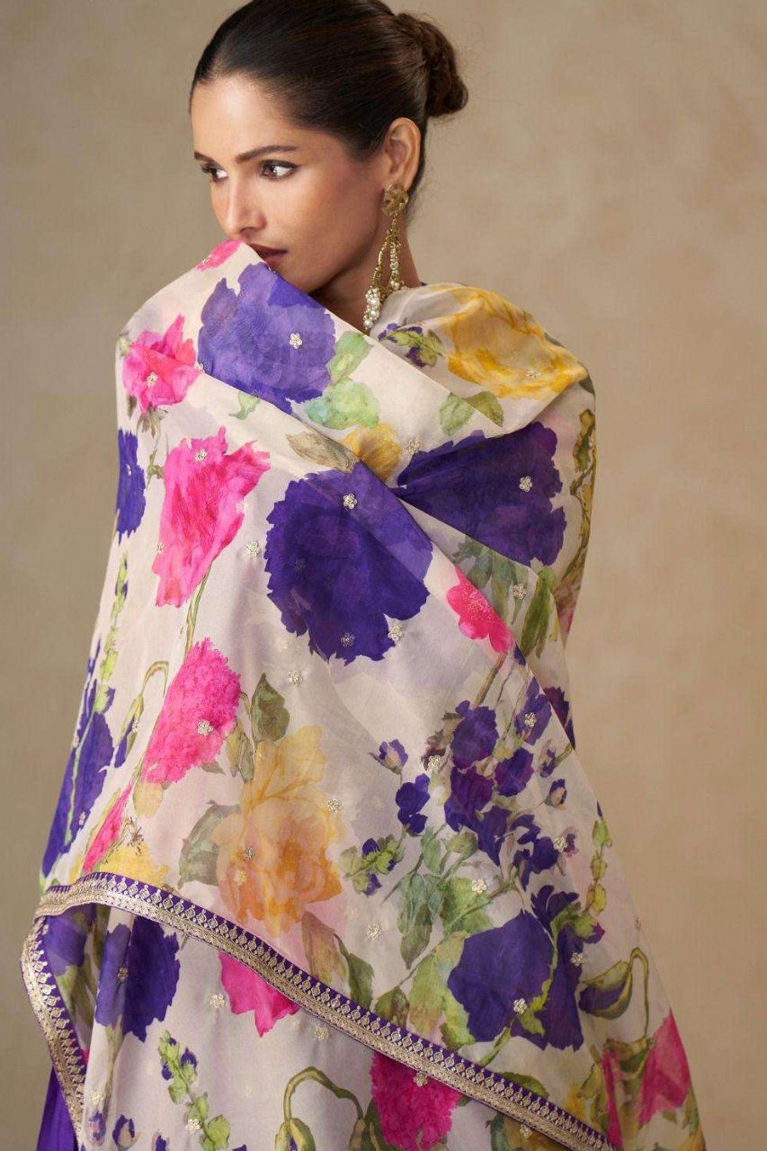 Anmol Premium Chinnon Silk Readymade Gown Catalog /10351 / HC002009 view 4