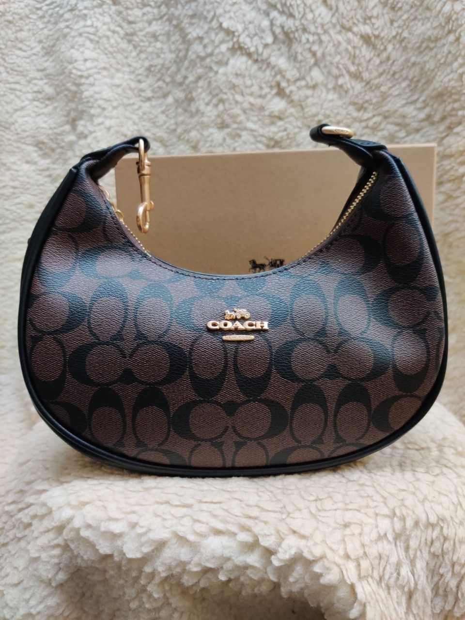 Coach Hobo Bag view 5