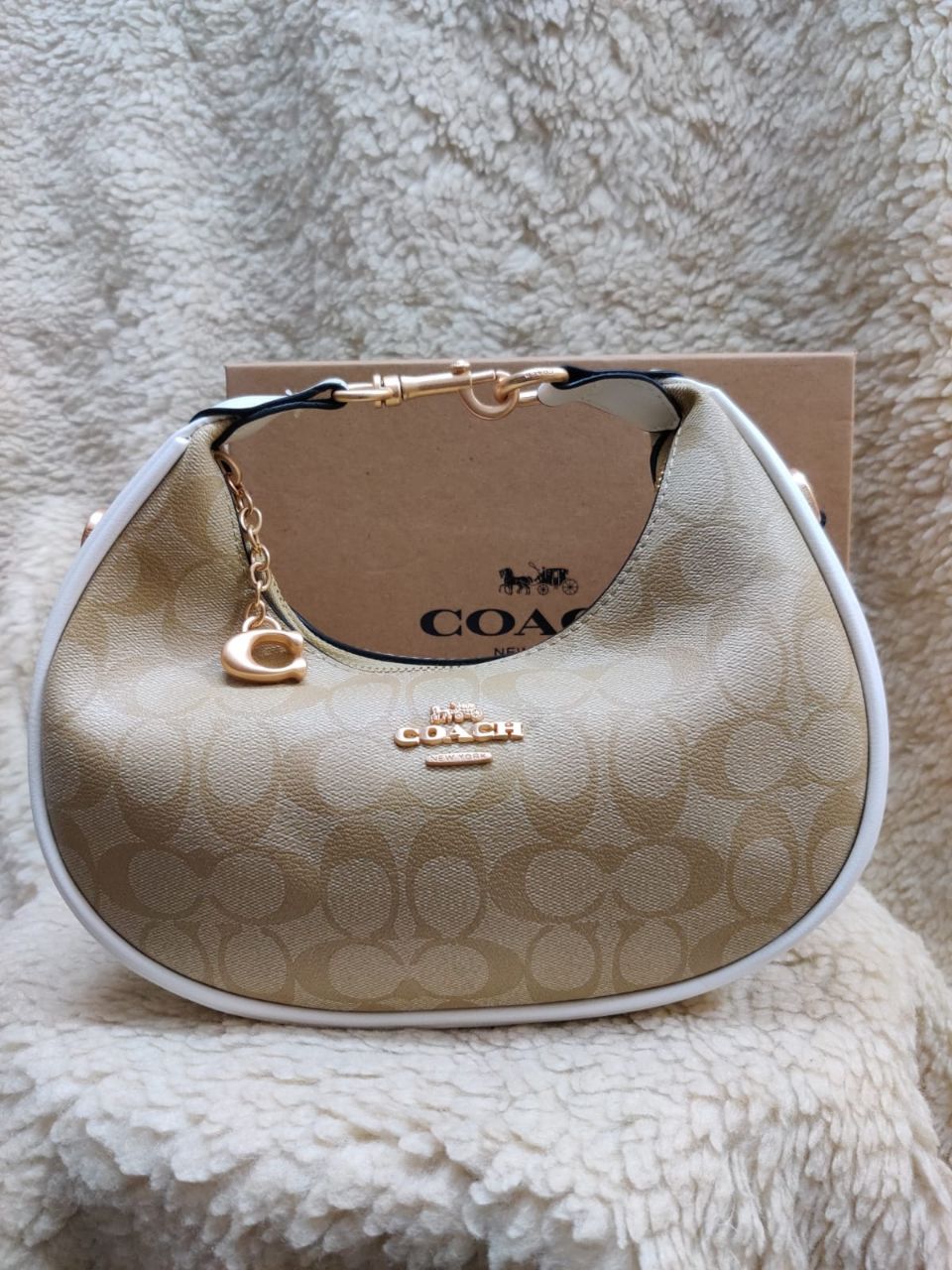 Coach Hobo Bag view 2