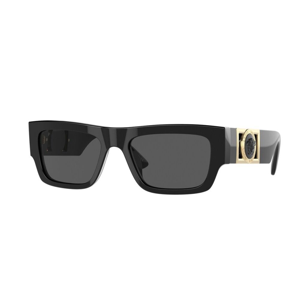 Versace Eyewear 4416 POLARISED view 2