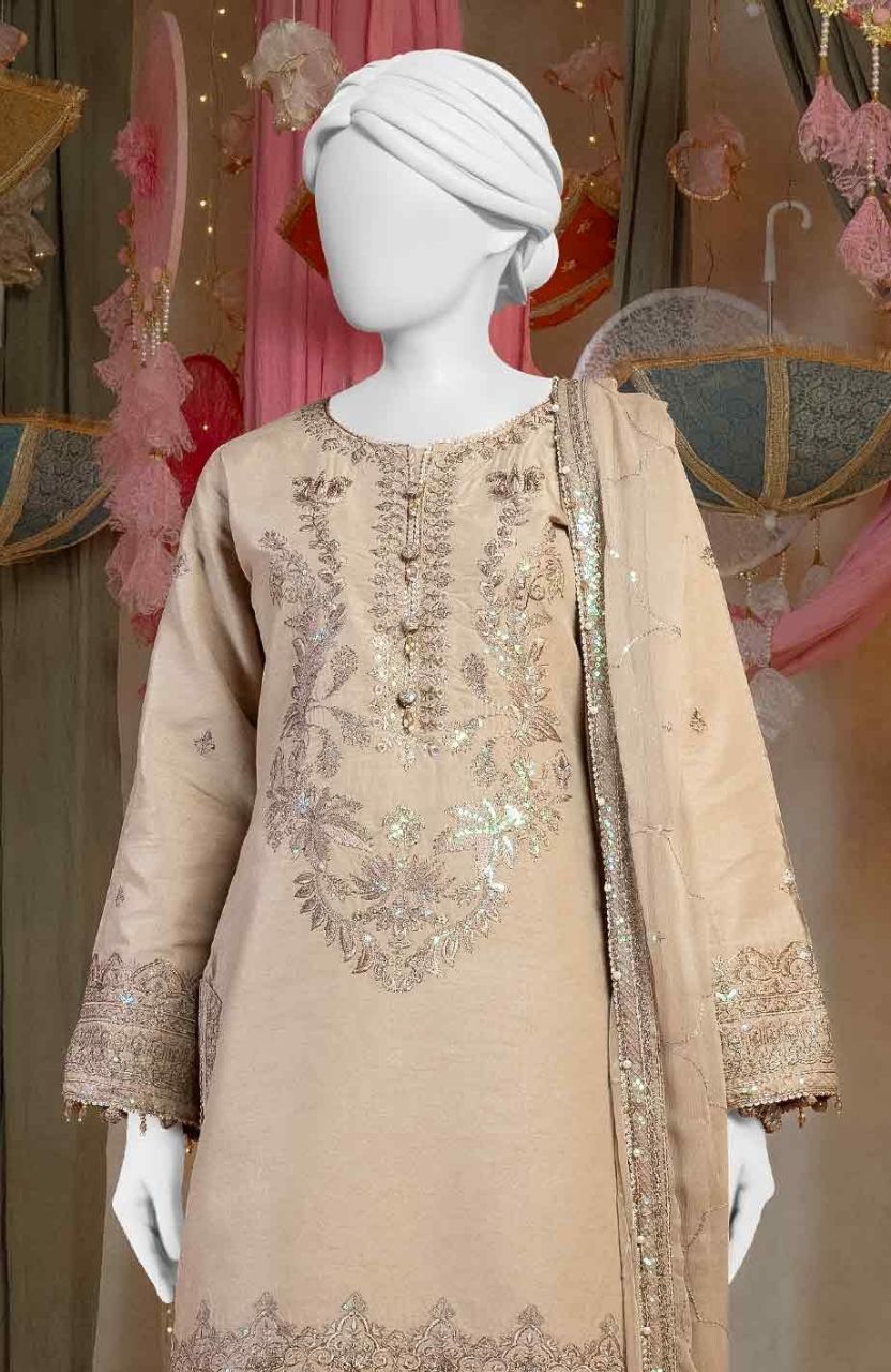 Raw Silk Beige Embroidered  Suit / DF0010 view 2
