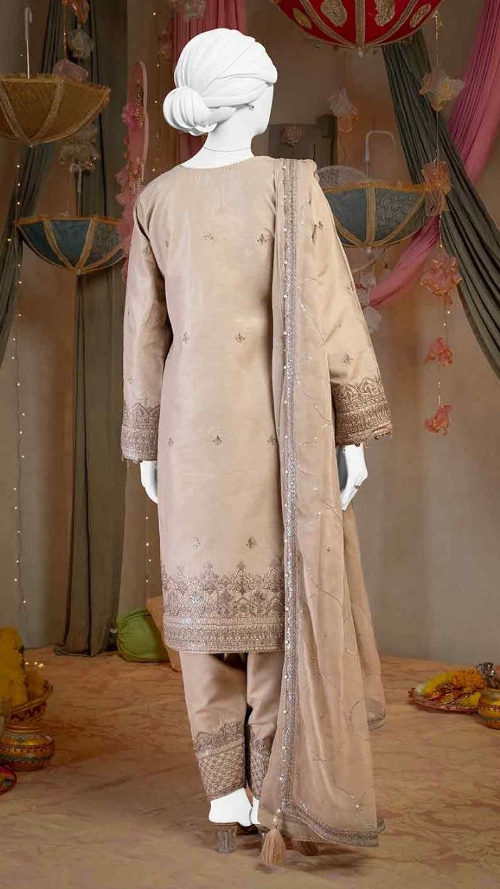 Raw Silk Beige Embroidered  Suit / DF0010 view 3