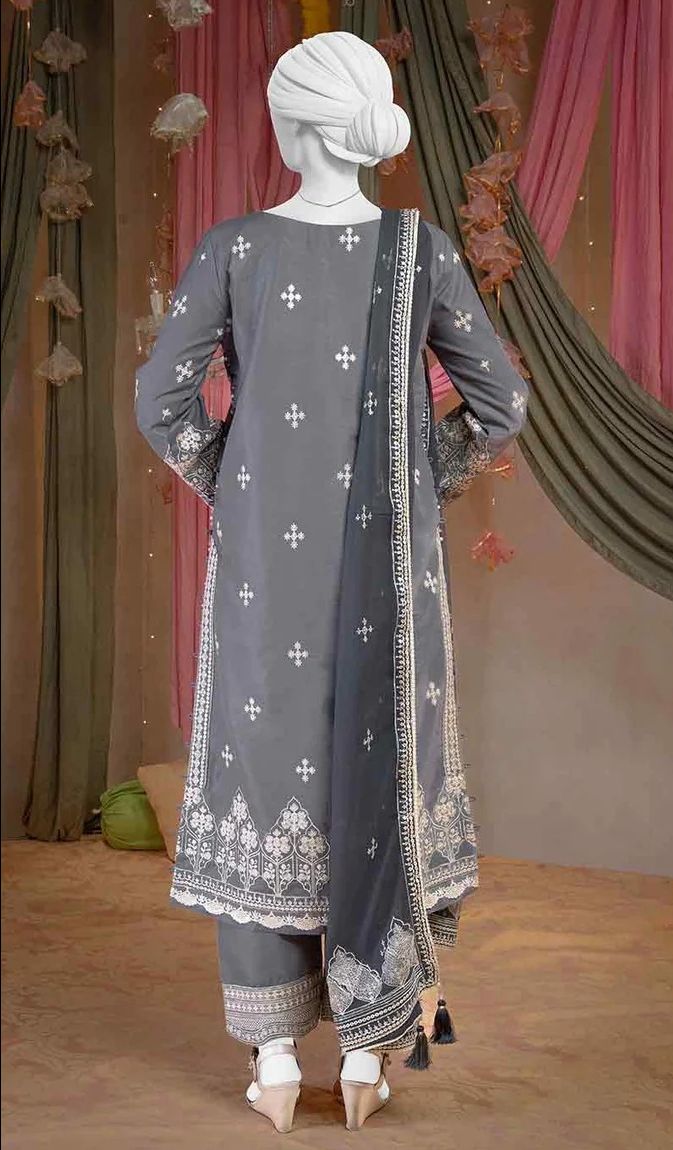 Raw Silk Light Grey Embroidered Suit / DF0010 view 3