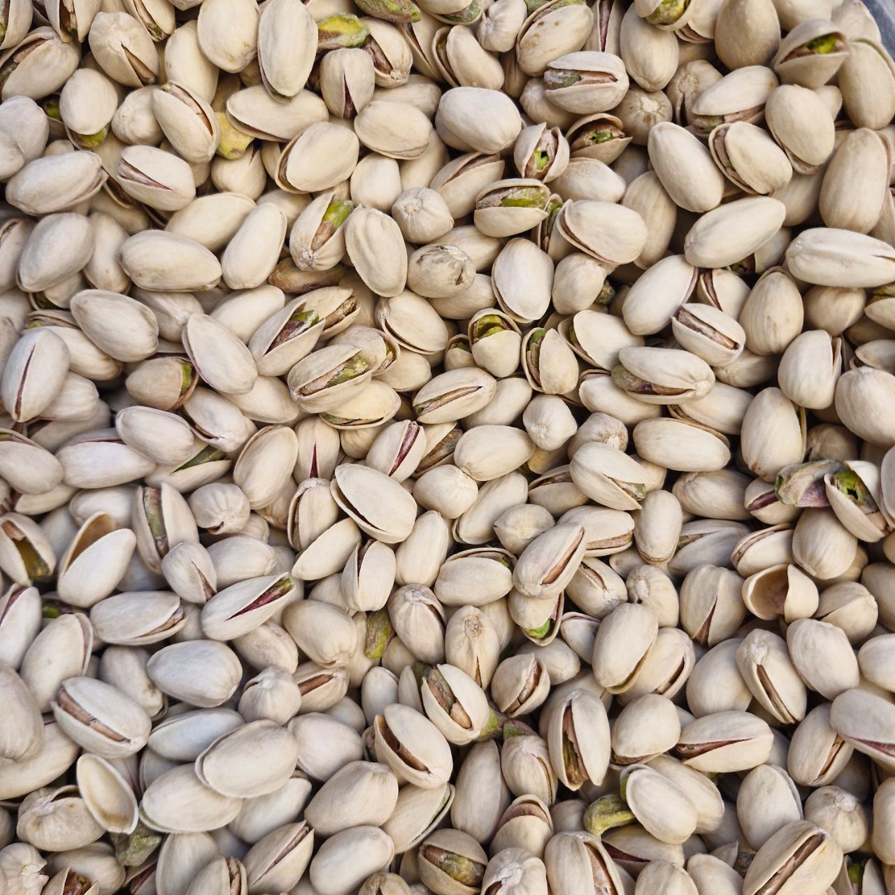 Pistachios Irani view 2